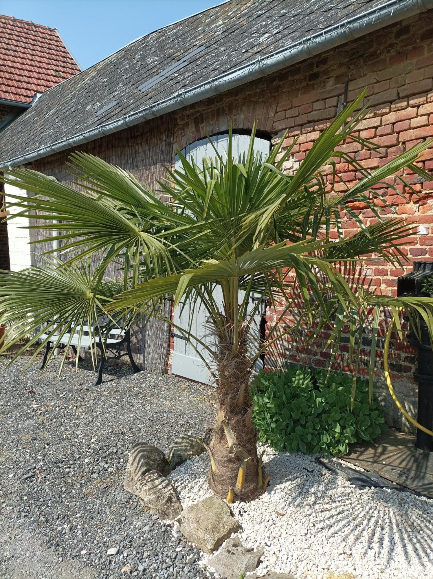 Les Muches Bed and Breakfast Bouzincourt Exteriör bild